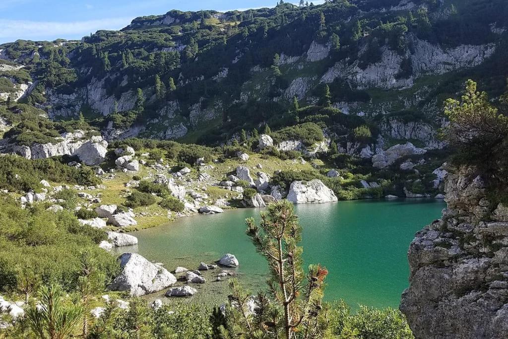 'Dasbergblick' Altaussee Εξωτερικό φωτογραφία