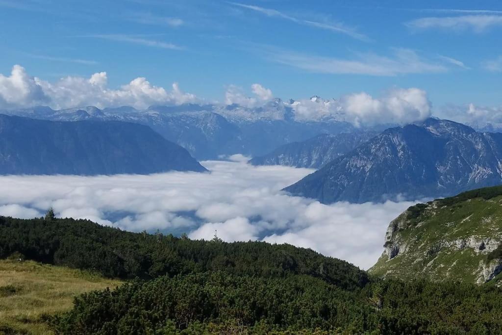'Dasbergblick' Altaussee Εξωτερικό φωτογραφία